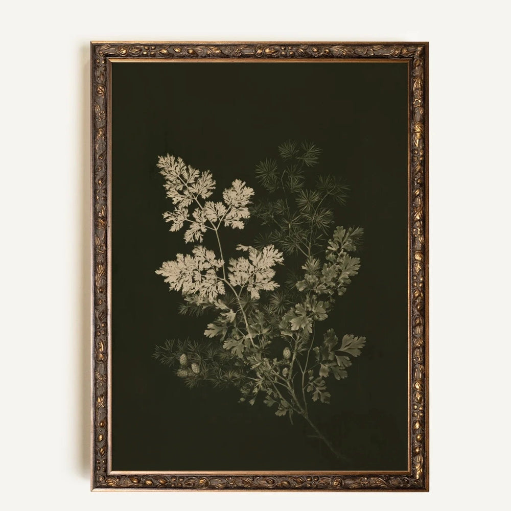Toile vintage - Herbes des bois II