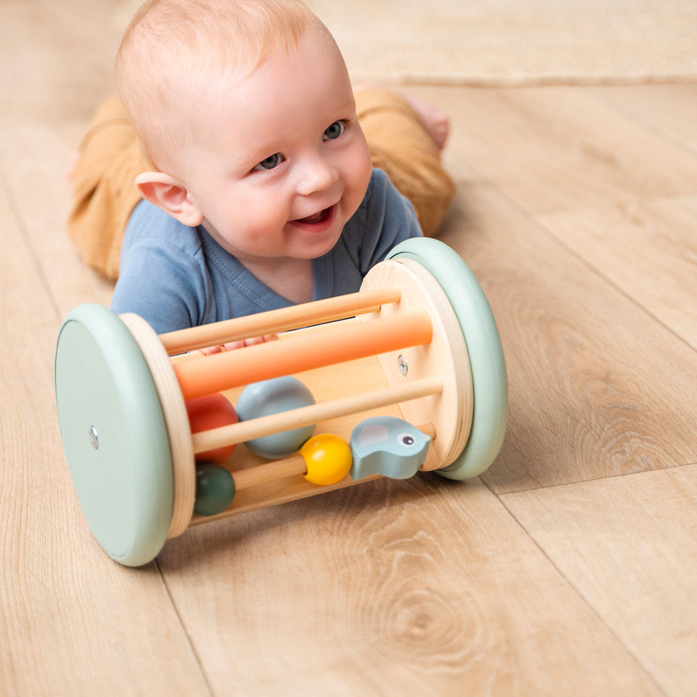 Rolling activity mirror - Birdee