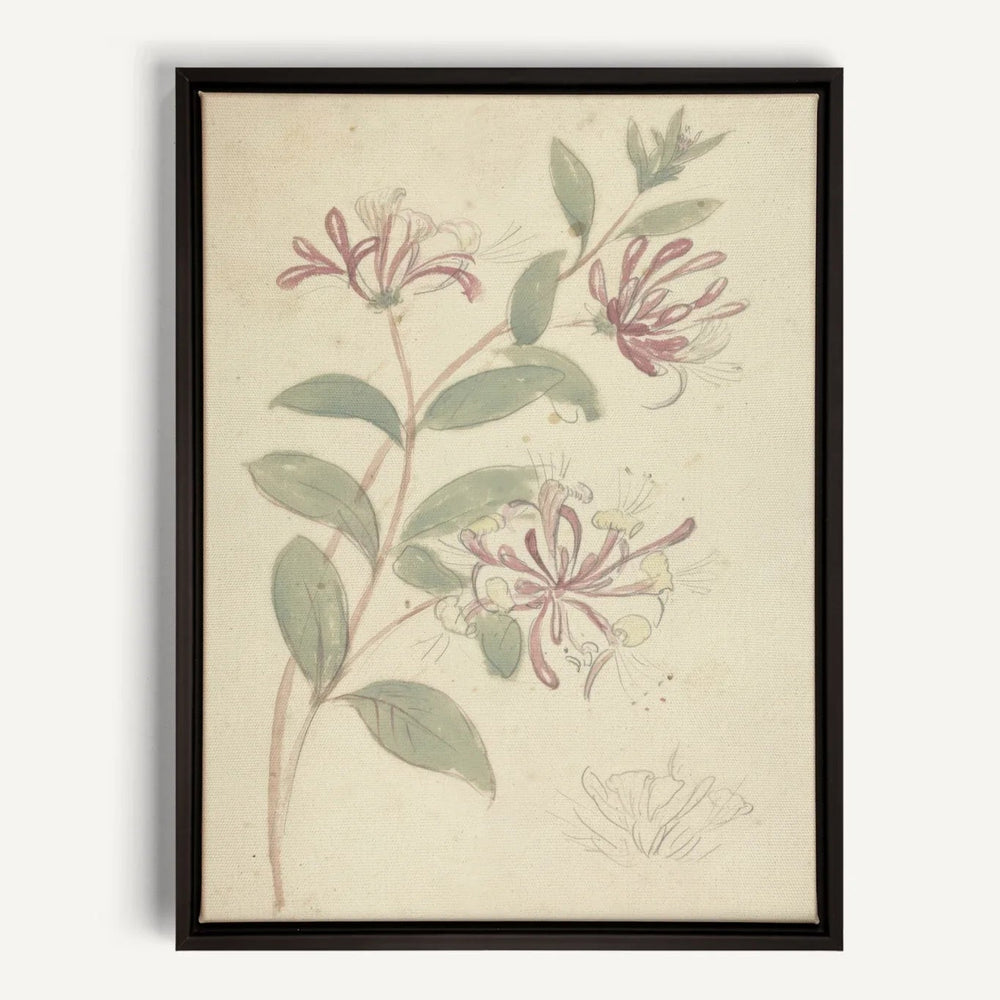 Toile - Vintage vine