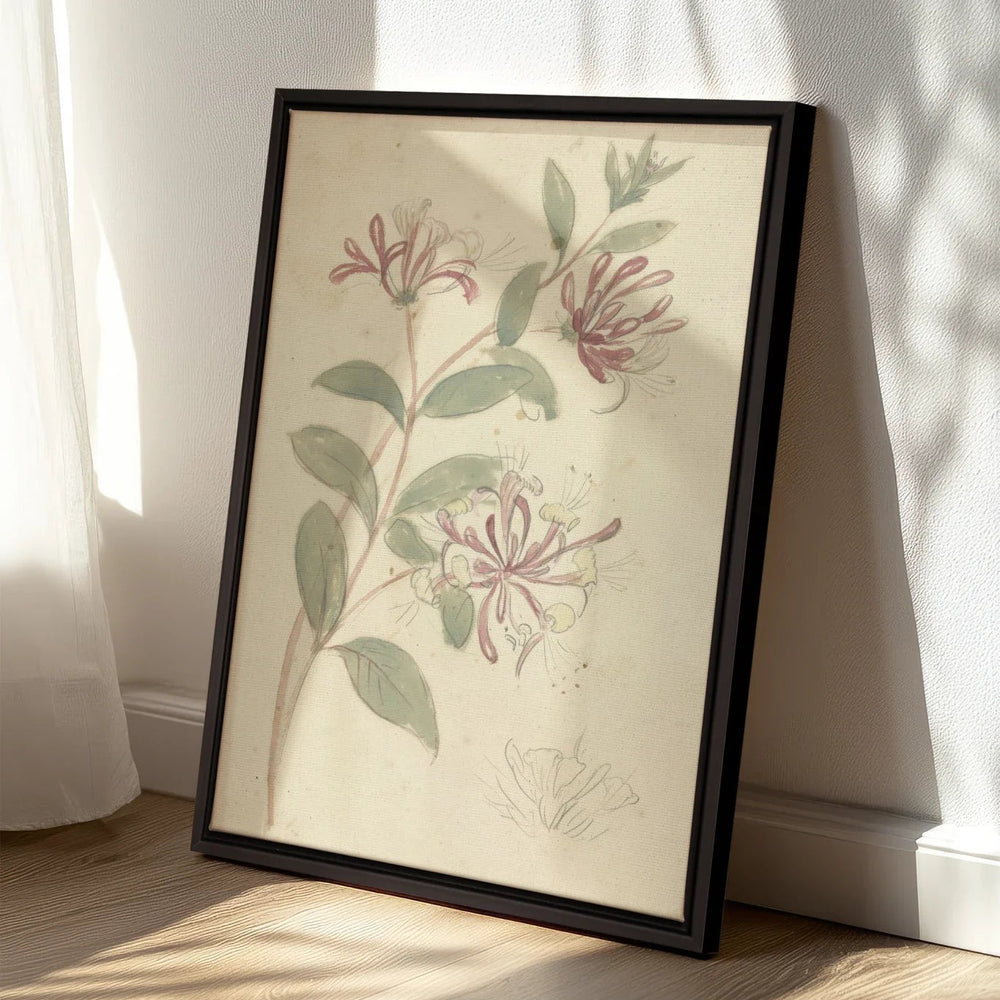 Toile - Vintage vine