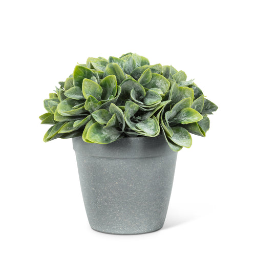 Petite plante artificielle philodendron dans un pot en imitation ciment gris.