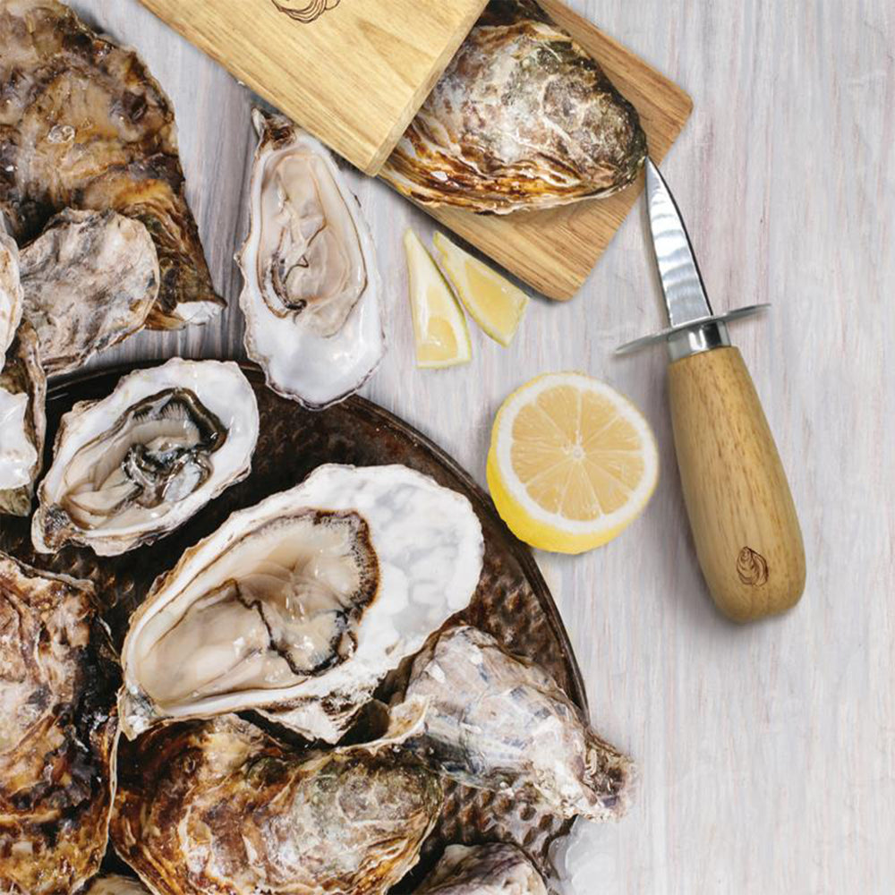 Ensemble d'outils pour huîtres||Oyster tool kit
