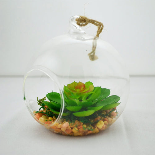 Petit arrangement de succulente echeveria dans un terrarium en verre avec petites pierres et corde pour accrocher.