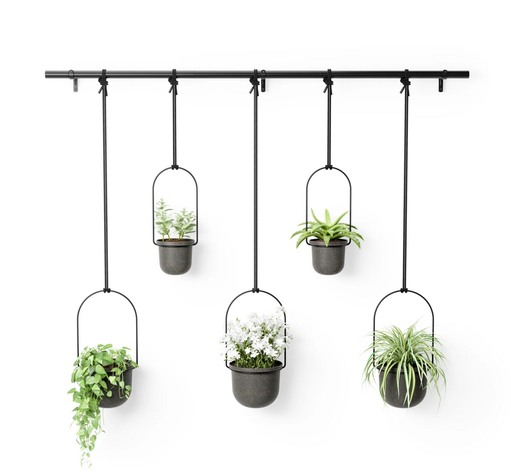Large hanging planter - Triflora