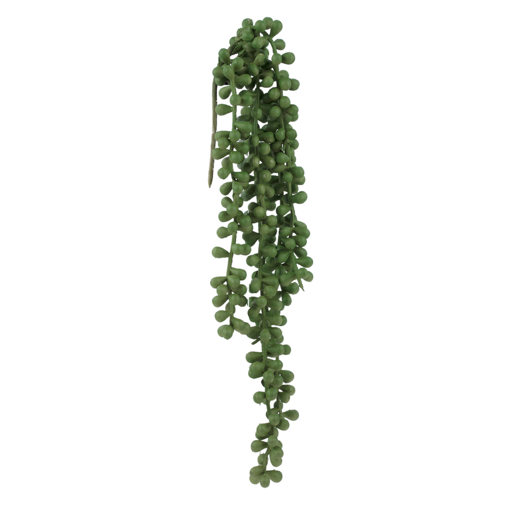 Tige de bourgeons||Green hanging