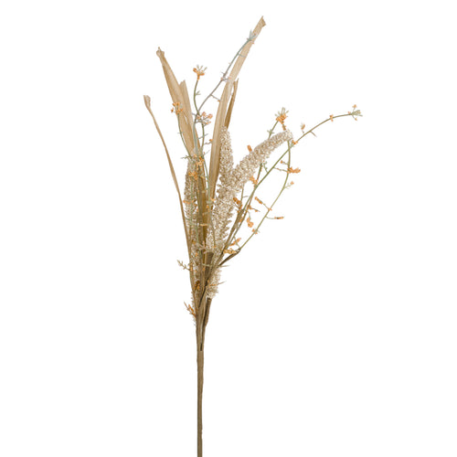 Tige de graminées - Naturelles||Grass stem - Natural