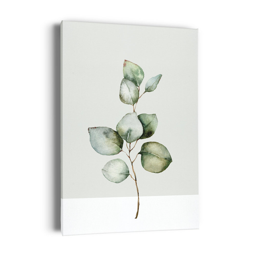 Toile - Eucalyptus||Canvas - Eucalyptus