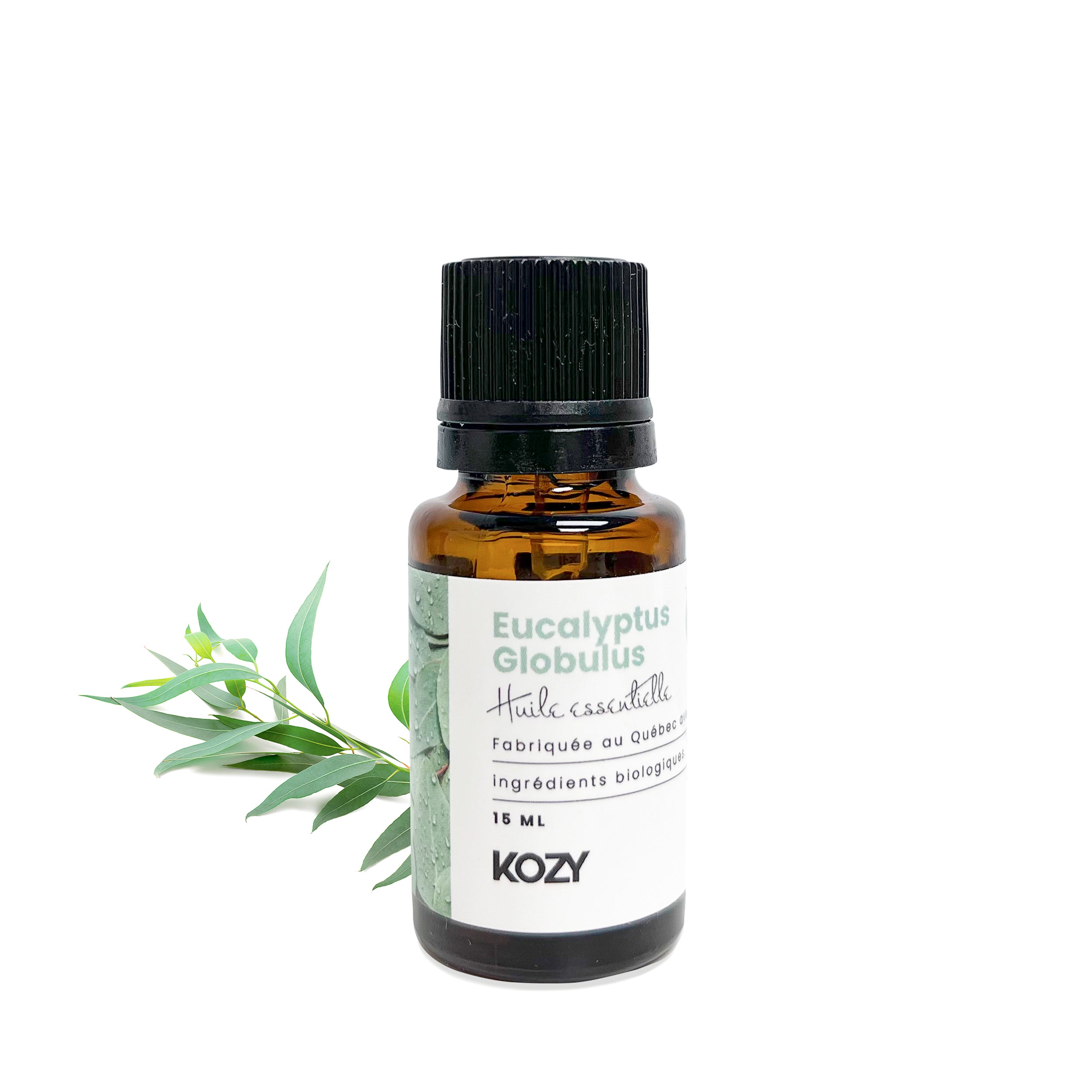 Essential oil Eucalyptus globulus Boutique Kozy