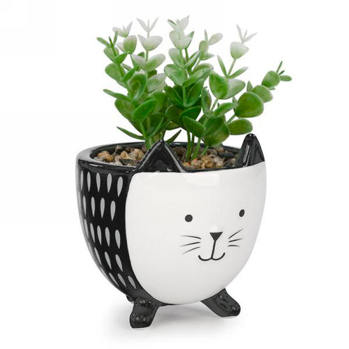 Succulentes en pot - Chat||Succulents in pot - Cat