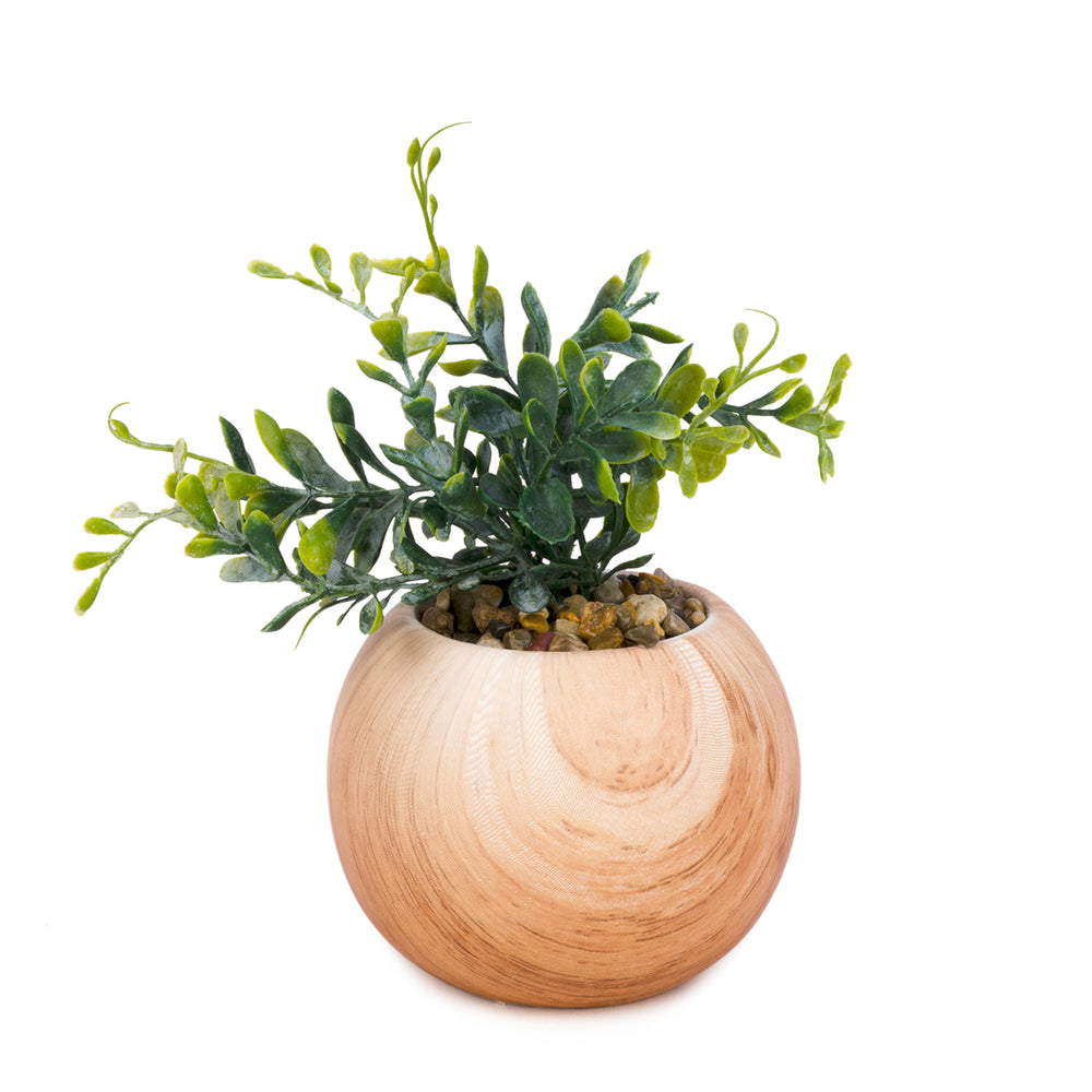 Plante en pot - Effet bois||Plant in a pot - Wood effect