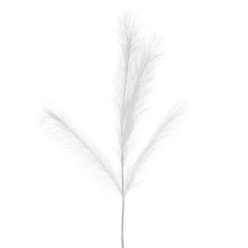 Tige de plume blanche - Illuminée||White feather stem - Illuminated