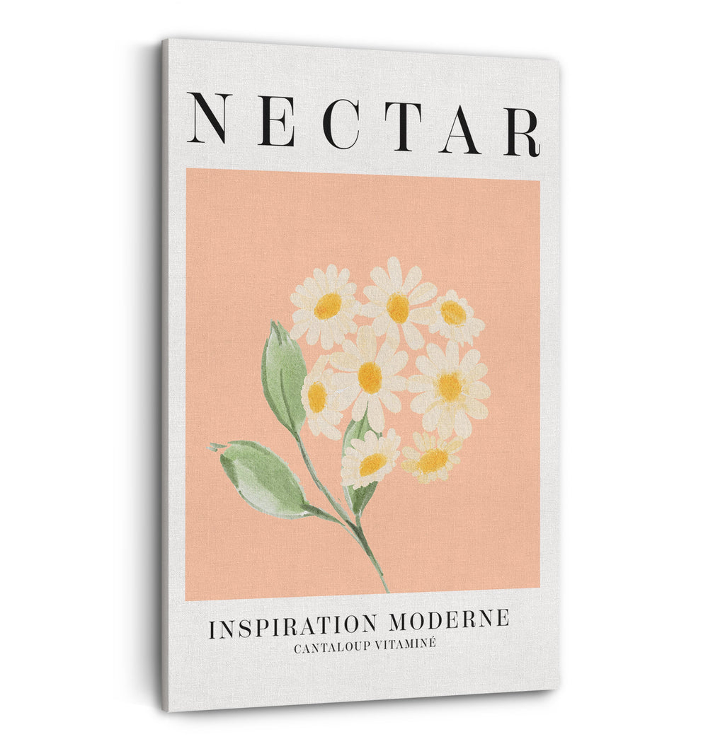 Toile - Nectar||Canvas - Nectar
