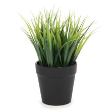 Plante verte de type fougère artificielle en pot noir.